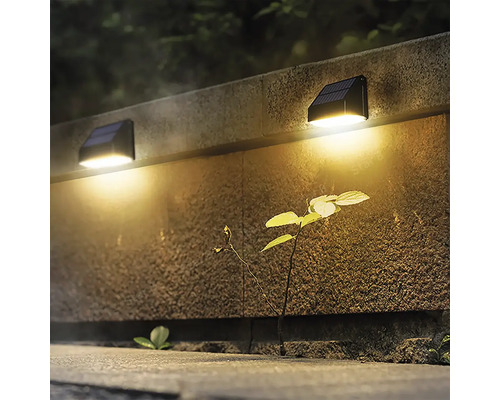 Dve solárne lampy na kamennej stene osvetľujú rastlinu.