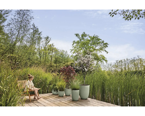 Scéna v záhrade so ženou na stoličke a rôznymi osadenými kvetináčmi na drevenej terase