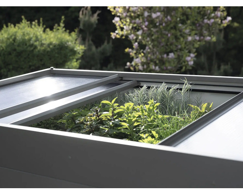 Vyvýšený záhon s otvoreným vekom osadený bylinkami