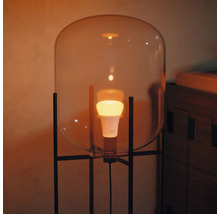 Stojacia lampa so sklenenou kupolou a žiarovkou