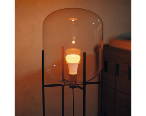 Stojacia lampa so žiarovkou pod priehľadnou kupolou