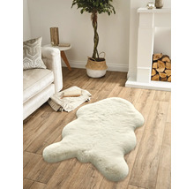 Obývacia izba s pohovkou, krbom, izbovou rastlinou a kobercom vo vzhľade kožušiny