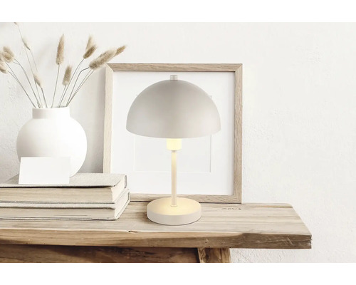 Dekoratívna scéna so stolnou lampou, rámom na obrázky, vázou so sušenými kvetmi a knihami na drevenom stole