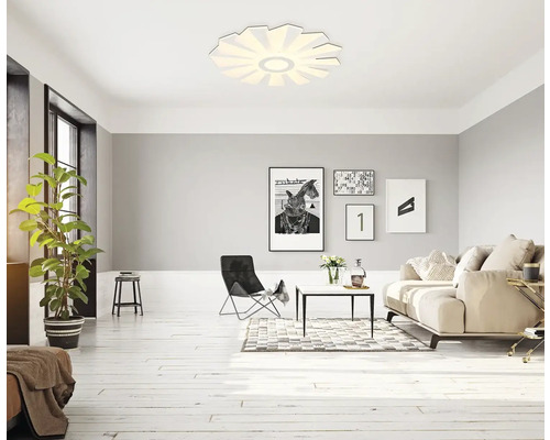 Svetlá obývacia izba so stropným svietidlom, pohovkou a izbovou rastlinou