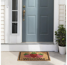 Rohožka s motívom jahôd a nápisom Vitajte pred vchodovými dverami