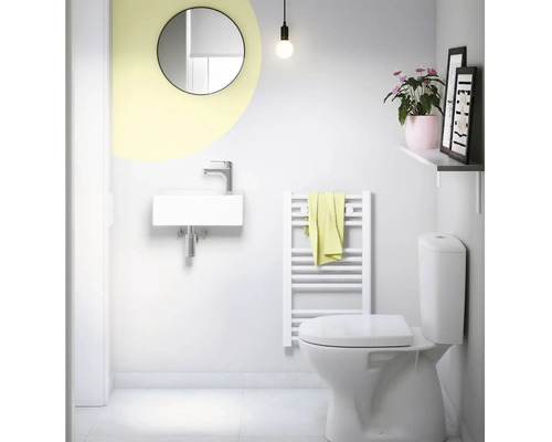 Kúpeľňa s umývadlom, zrkadlom, radiátorom, toaletou a dekoráciou