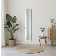 Pohľad do miestnosti s obdĺžnikovým zrkadlom, rastlinou a komodou