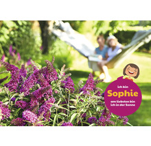 Motýlí krík v záhrade s oddychujúcimi ľuďmi v hojdacej sieti