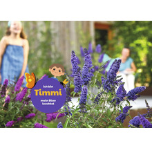 Motýlí krík v záhrade s dieťaťom v pozadí