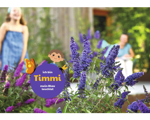 Motýlí krík v záhrade s dieťaťom v pozadí