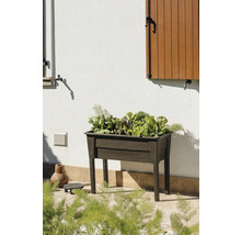 Drevený vyvýšený záhon so šalátom zasadeným v záhrade.