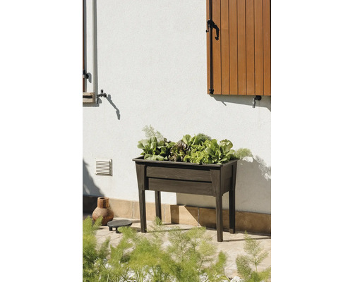 Drevený vyvýšený záhon so šalátom zasadeným v záhrade.