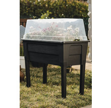 Vyvýšený záhon s priehľadným vekom a rastlinami na trávniku.