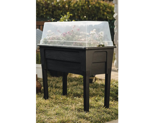 Vyvýšený záhon s priehľadným vekom a rastlinami na trávniku.