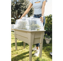 Vyvýšený záhon s priehľadným krytom a rastlinami v záhrade