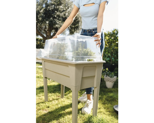 Vyvýšený záhon s priehľadným krytom a rastlinami v záhrade