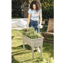 Žena polieva bylinky vo vyvýšenom záhone v záhrade.