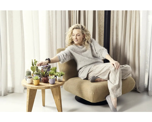 Žena sedí v kresle vedľa odkladacieho stolíka s rôznymi kaktusmi a sukulentmi v ozdobných kvetináčoch.