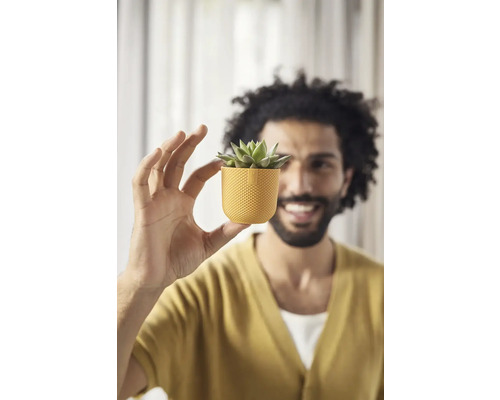 Muž drží malý kvetináč so sukulentom