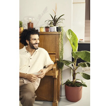 Muž sedí pri klavíri vedľa izbových rastlín v kvetináčoch