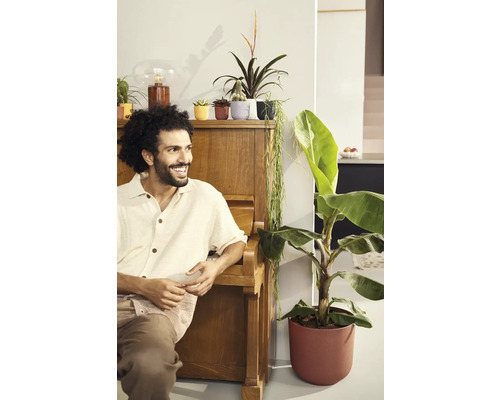 Muž sedí pri klavíri vedľa izbových rastlín v kvetináčoch