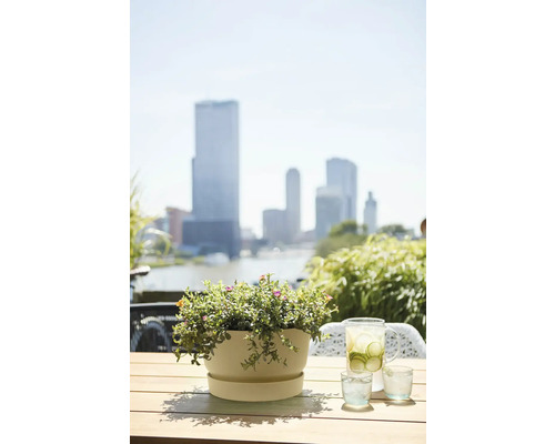 Kvetináč s kvetmi na stole s nápojmi a panorámou mesta v pozadí