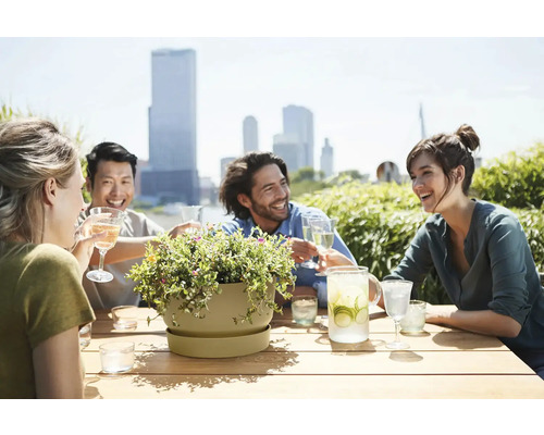 Skupina ľudí sedí pri stole s kvetináčom a nápojmi