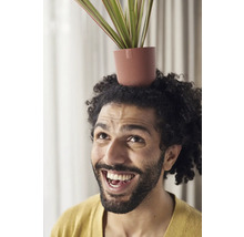 Muž s textúrovaným kvetináčom na hlave a rastlinou vnútri