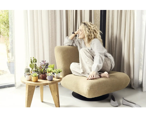 Žena sedí v kresle vedľa stola so sukulentmi a kaktusmi v kvetináčoch