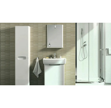 Kúpeľňa s umývadlom, zrkadlovou skrinkou, vysokou skrinkou a sprchou