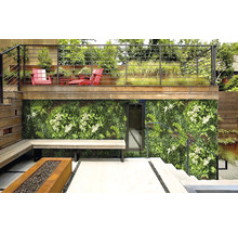 Vonkajší priestor so zelenou stenou, lavičkou a ohniskom