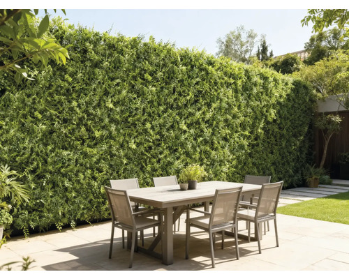 Vonkajšia scéna s jedálenským stolom a zelenou stenou ako ochranou súkromia v záhrade.