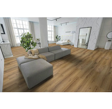 Svetlý obývací priestor s drevenou podlahou, sedačkou a posteľou