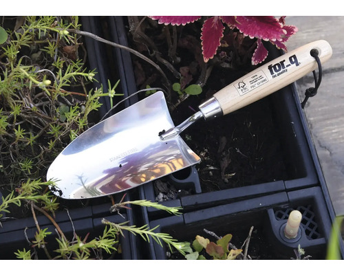 Nerezová jamkovač s drevenou rukoväťou v záhradnom záhone