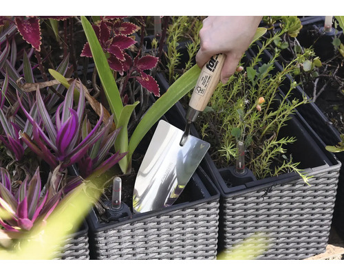 Nerezová lyžica v kvetináči medzi rastlinami