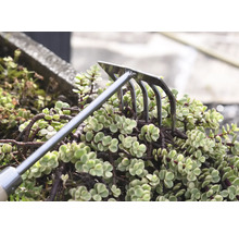 Záhradné hrable na úpravu pôdy medzi rastlinami