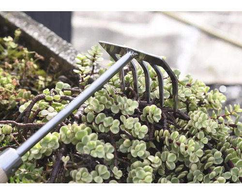 Záhradné hrable na úpravu pôdy medzi rastlinami