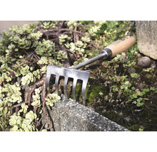 Záhradné hrable s drevenou rukoväťou a kovovými zubami medzi rastlinami