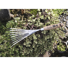 Záhradné hrable s drevenou rukoväťou a kovovými hrotmi, obklopené zelenými rastlinami.