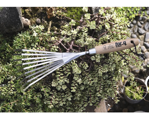 Záhradné hrable s drevenou rukoväťou a kovovými hrotmi, obklopené zelenými rastlinami.