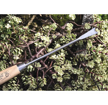 Vypichovač buriny s drevenou rukoväťou pred rastlinami