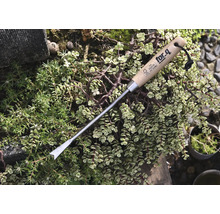 Vypichovač buriny s drevenou rukoväťou na záhradné práce