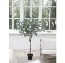 Umelý eukalyptový strom v kvetináči pred oknom