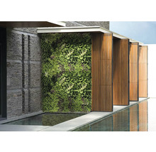 Vonkajší pohľad so zelenou stenou, kamenným múrom a odrazom vody