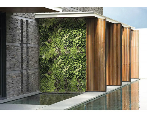 Vonkajší pohľad so zelenou stenou, kamenným múrom a odrazom vody