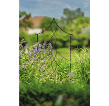 Záhradná scéna s podperou pre popínavé rastliny v tvare vianočného stromčeka medzi rastlinami