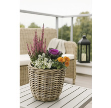 Ozdobné kvety a rastliny v prútenom košíku na vonkajšom stole.