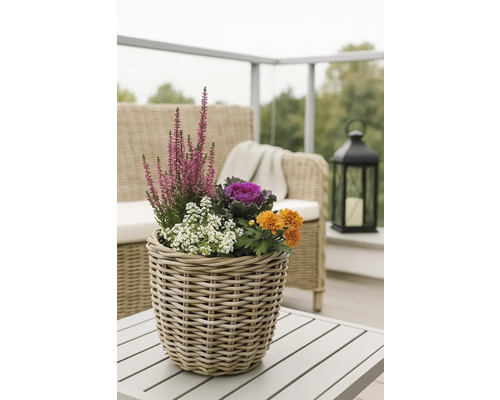 Ozdobné kvety a rastliny v prútenom košíku na vonkajšom stole.