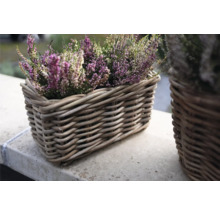 Vres vo vypletanom prútenom košíku