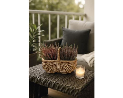 Dekoratívne vresoviskové rastliny v prútenom košíku na záhradnom stole so sviečkou